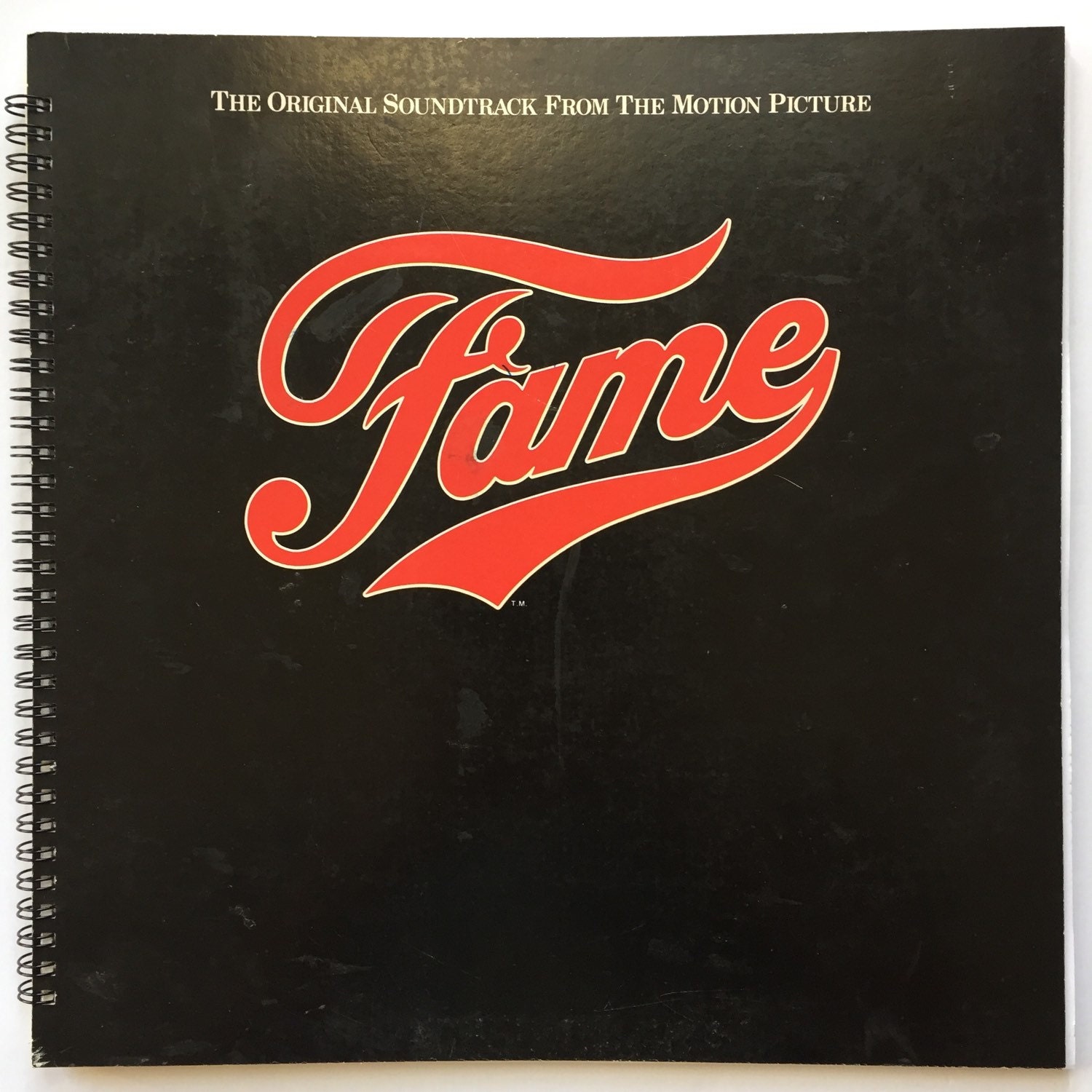 Fame Recycled Record Album Cover Book