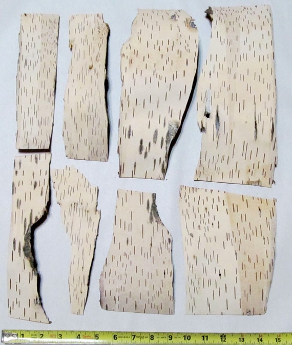 Birch Bark Sheets Scraps Paper Art Craft Supplies DIY Wedding