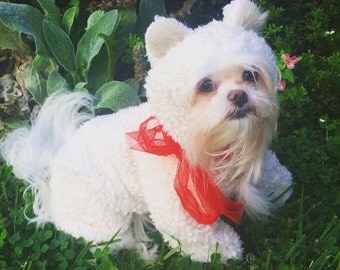 Cream colored Teddy Bear Dog/Pet Halloween Costume