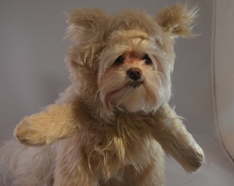 Adorable Cream Colored Teddy Bear Dog Halloween Costume/Hood