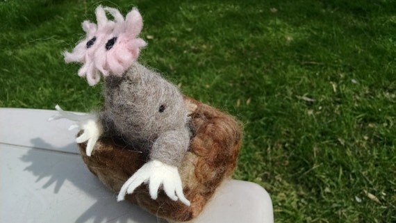 star nosed mole stuffed animal