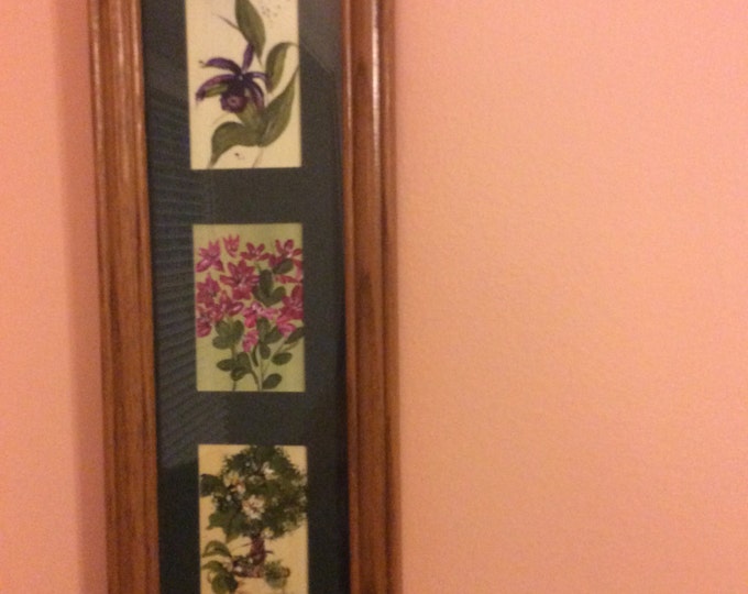 Trio of flowers, framed in oak