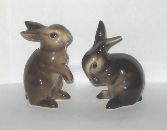 goebel brown bunny