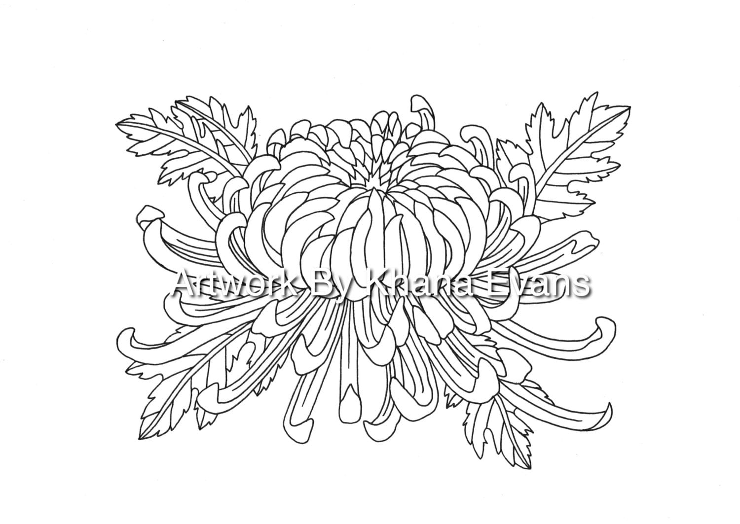 Chrysanthemum Flower Tattoo Design PDF A4 by TheSoleRoomPresents