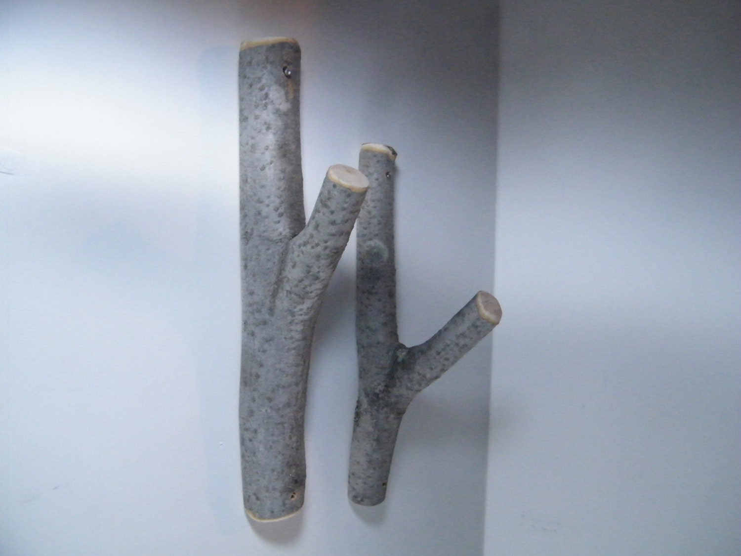 hooks hangers tree branch hook set beech tree hook hangers hooks hangers tree branch hook set beech tree hook hangers