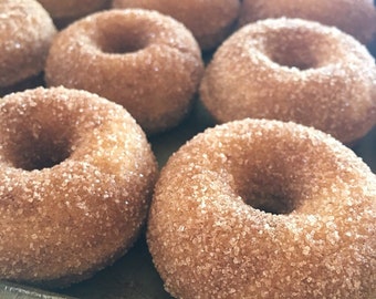 Vegan Cinnamon Sugar Cake Donuts/GlutenFreeDonuts/MiniDonuts/VeganTreats/VeganCupcakes/VeganBakedGoods/VeganDessert/Cinnamon/SweetSpotMinis