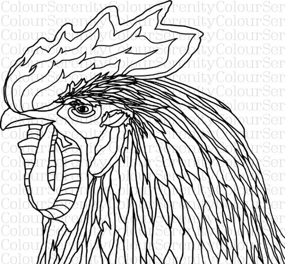  Rooster  Printable  Adult  Coloring  Page  Instant Download 8