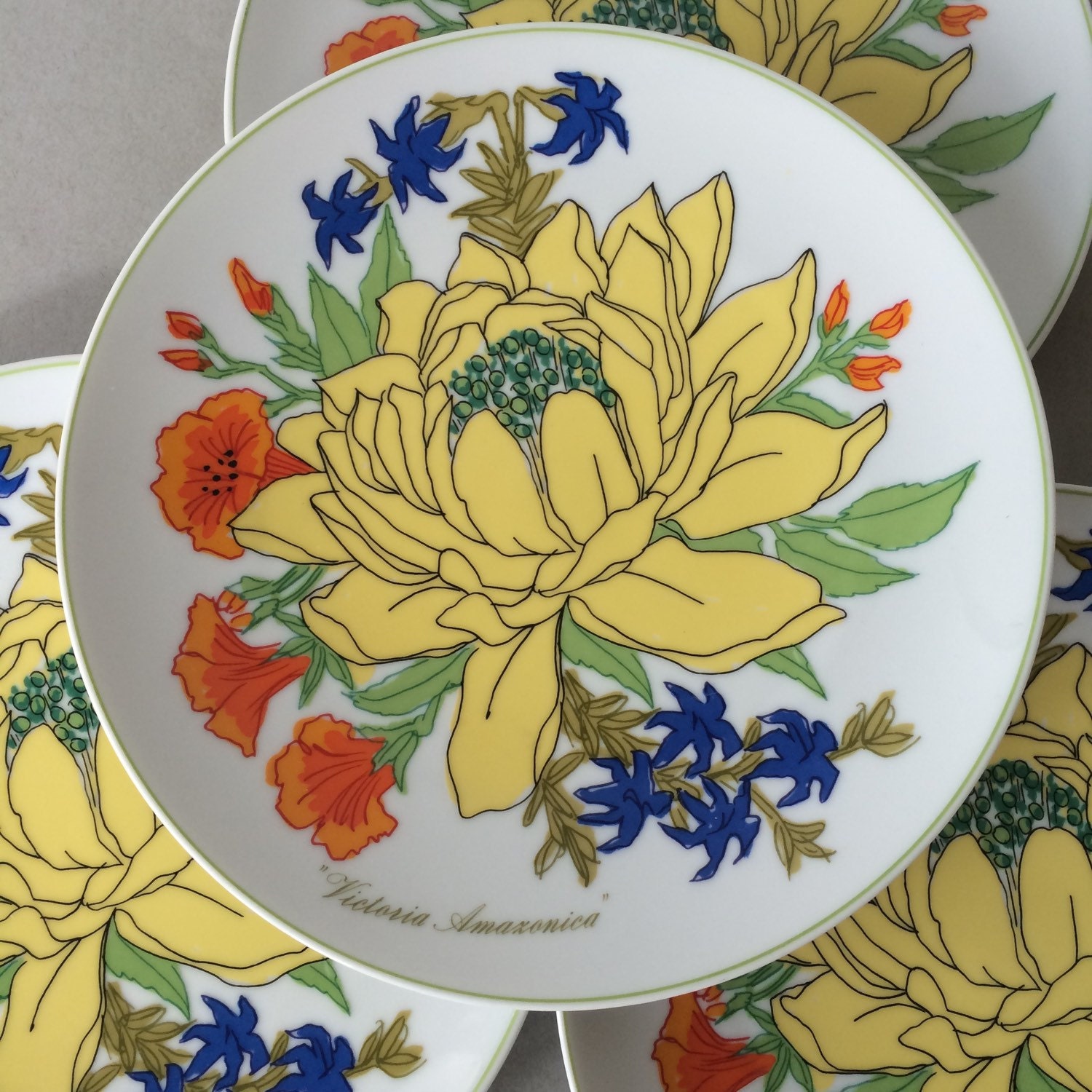 Vintage Heinrich Plates Lemeau Design for Taste Setter