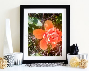 Coral Hibiscus | 8x10 | Digital Art