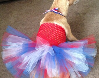 USA dog tutu, patriotic dog outfit, Fourth of July parade dog outfit, USA Olympic dog, American dog outfit, USA tutu, patriotic dog tutu