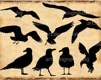 Vector SEAGULLS, Download, SVG, dxf, AI, pdf, eps, png, jpg, Saddleback, bird, coupons