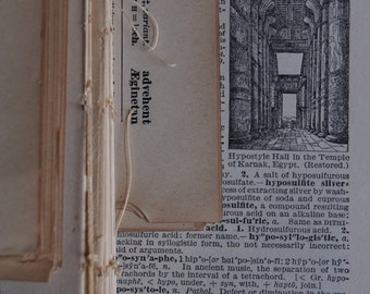 1917 Antique Dictionary Pages / 35 Pages of Backgrounds & Tiny Details / Amazing Tiny Illustrations / Perfect Print Graphics