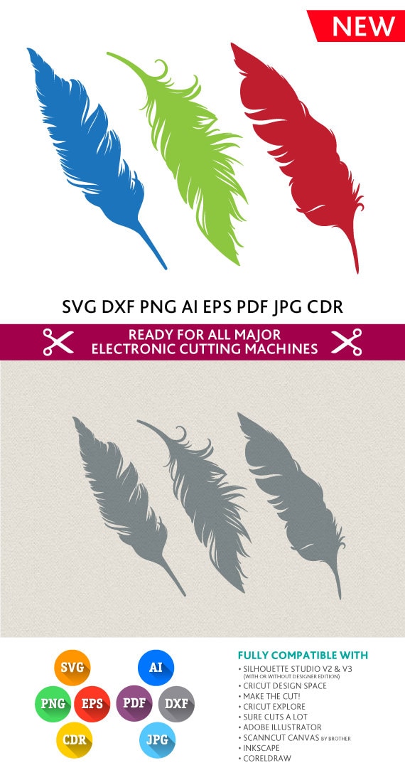 Download Feather Svg Cut Files SVG DXF Silhouette Studio Png by ...