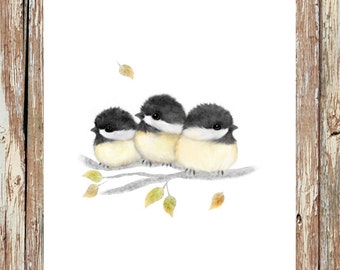 Image result for chickadee