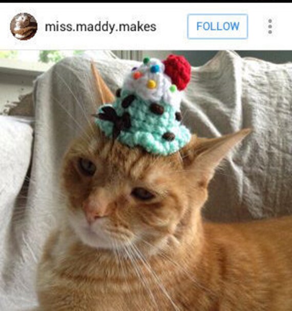 Cat Hat Ice Cream Scoop Party Hat Small Dog by LegendaryPetToys