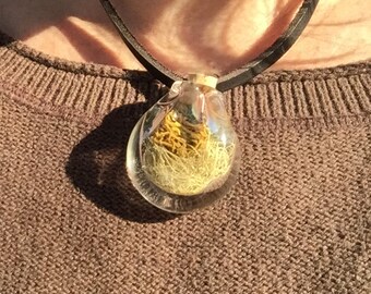 Lichen and Moss Charm Pendant-Handblown Glass-Terrarium Necklace