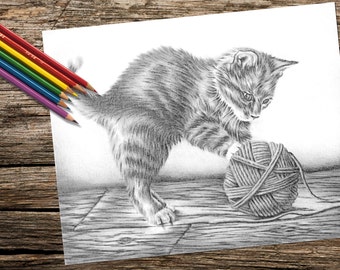 coloring for adults printable coloring page adult coloring page instant download coloring kitten and yarn cat coloring book for adult - Coloring Book Yarns coloring for adults printable coloring page adult coloring page instant download coloring kitten and yarn cat coloring book for adult - Coloring Book Yarns