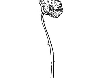 Poppy tattoo | Etsy
