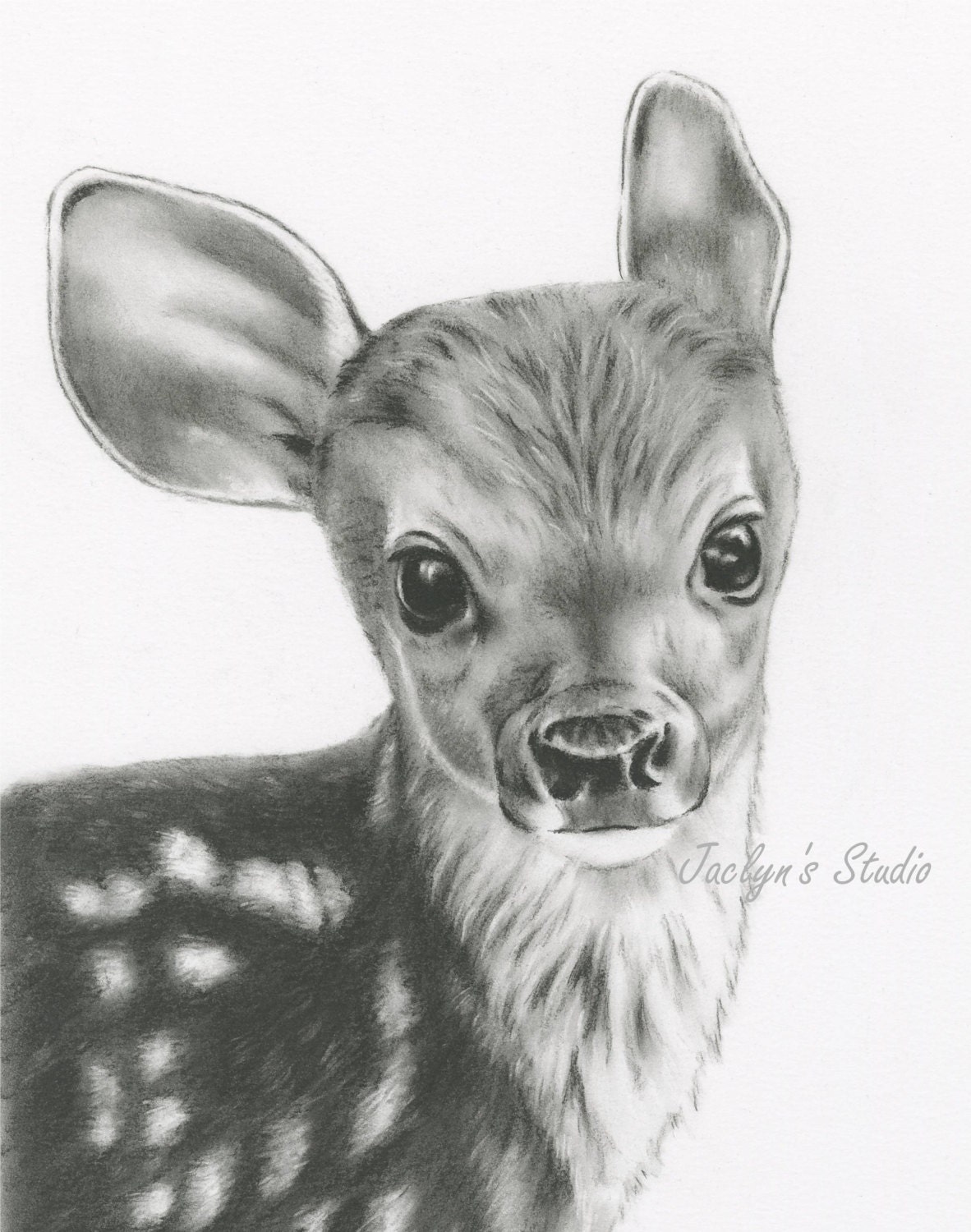 Charcoal Drawing Giclee Print Deer Drawing 8x10