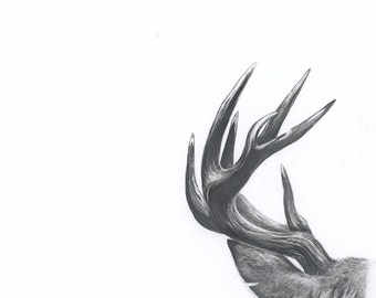 Deers pencil drawing | Etsy