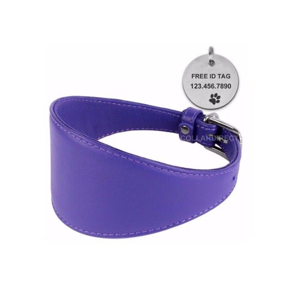 Personalized Greyhound Dog Collar Soft Leather by CollarDirect