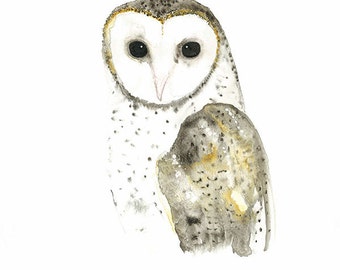 Owl Watercolour, Australian Barn Owl, Gallery Wall, Bird Watercolour, Hibou Aquarelle, Woodland Painting, Nature Art