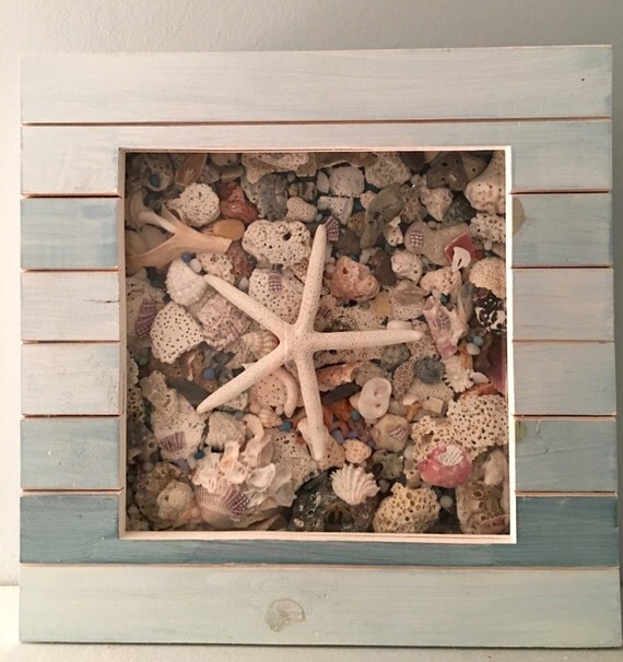 Seashells in shadow box frame
