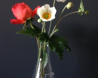 Vintage Glass Pyrex Lab Flasks x two //Vintage Lab containers//Pyrex.