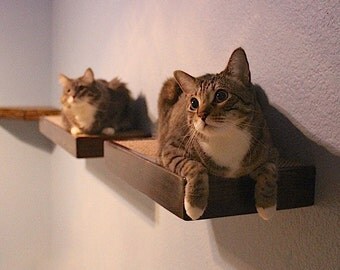 18" Cat Wall Shelf/Step Floating Stained Wood Style