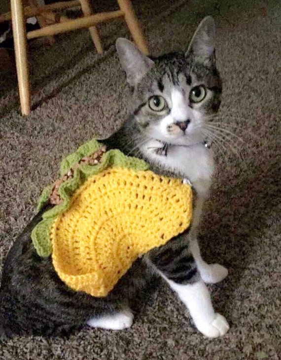 Taco Pet Costume Taco Cat Costume Taco Costume for by AegeanDrawn