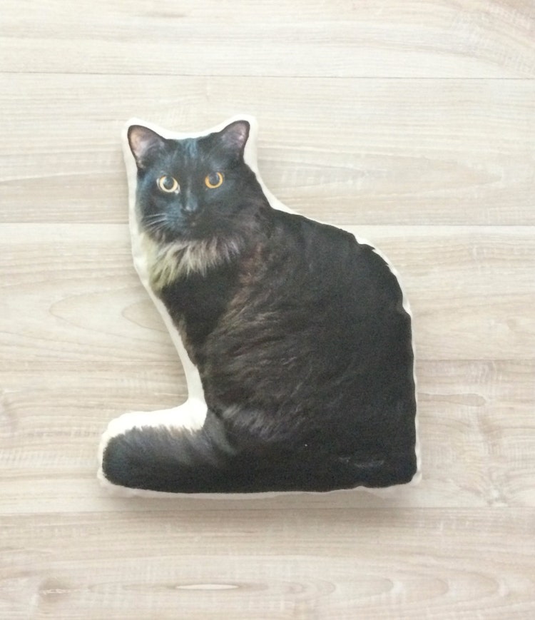 trending custom cat pillow