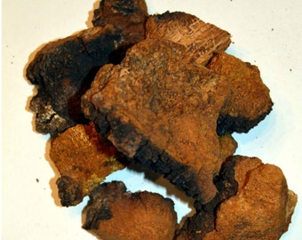 WILD Siberian Chaga Mushroom 0.88 Lbs (400 Gms) 2016 Harvest. Inonotus Obliquus. Origin From Altai Region (Siberia)