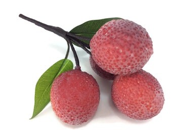 Simulation réaliste artificiel litchi feuilles Faux faux fruits maison armoires de cuisine décoration réaliste argile assortiment