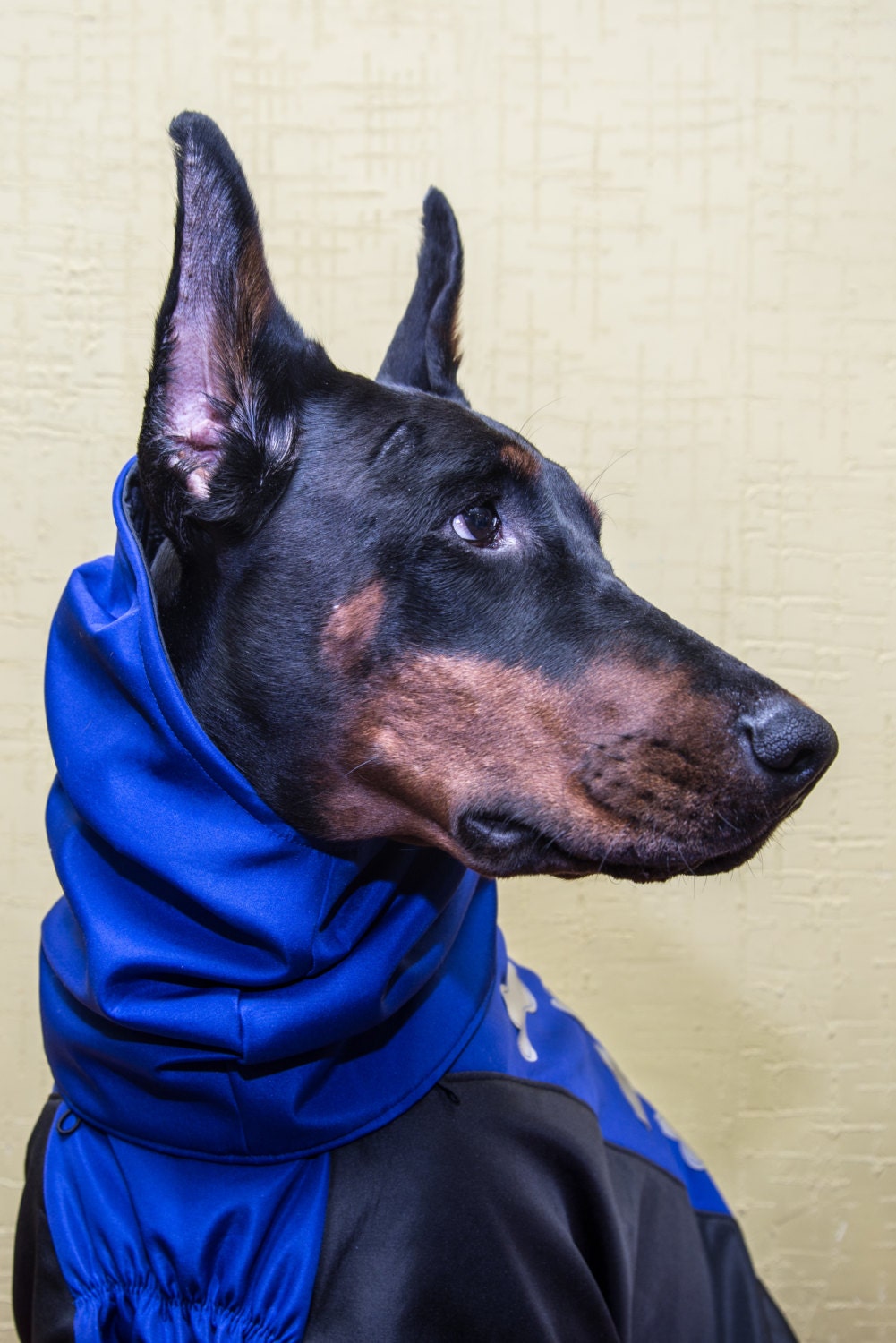 Pet Dog Doberman Winter Fall Jackets Coats Vest Horsecloth