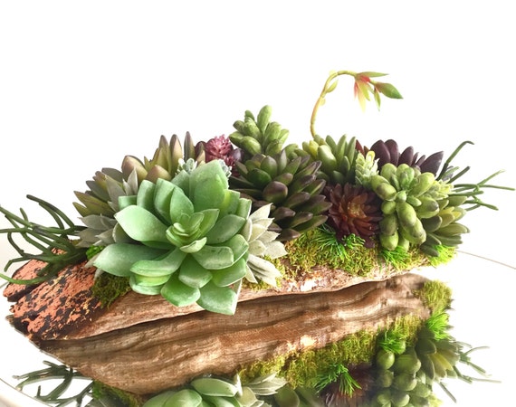 The Best Decoration For Your New Home Artificial Succulent Arrangements