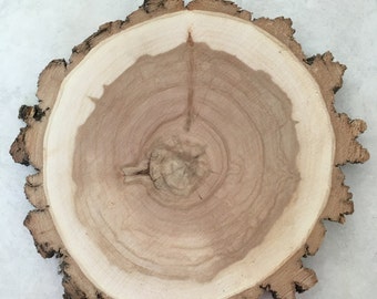 9-10 inch x 1 inch Willow Wood Slice