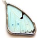 Real Butterfly Wing Necklace. Real insect wing pendant. Mint Morpho. Real butterfly wing pendant. Soldered necklace. Insect jewelry.
