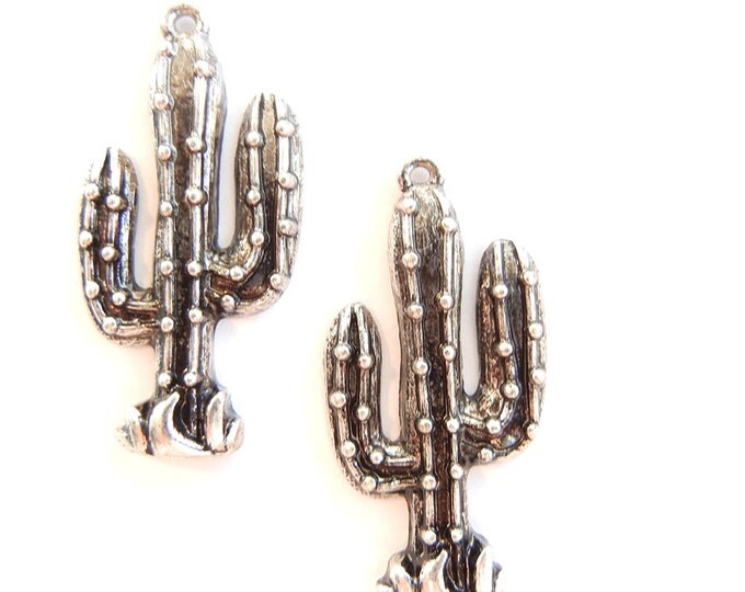 Pair of Cactus Sorrel Charms Antique Silver-tone