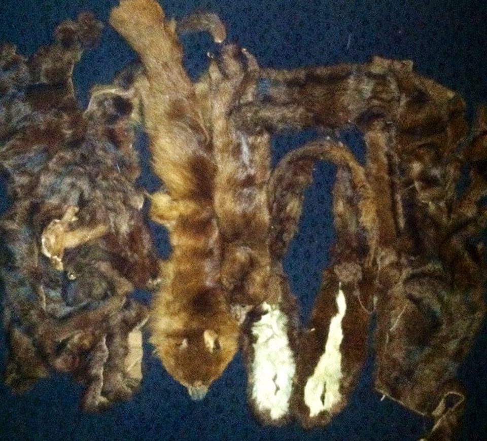 Antique furs lot of fur stoles mink vintage Victorian crafter Haute Juice