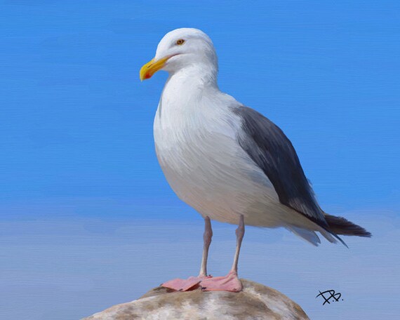 Seagull Digital painting print