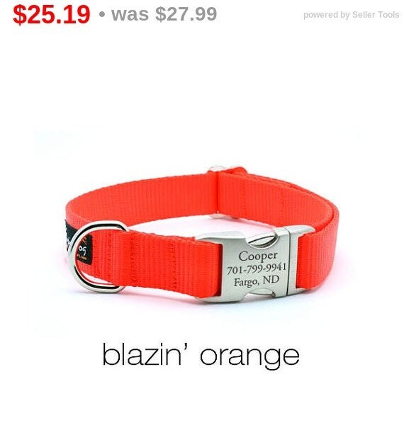 SALE Laser Engraved Personalized Buckle Webbing Dog Collar - Blaze Orange