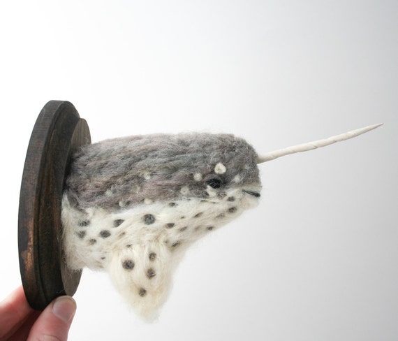 Woolly Narwhal (Monodon monoceros)