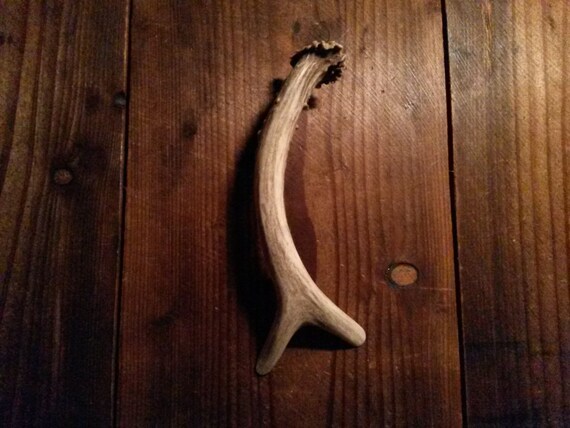 Whole Deer Antler Handle for Cabinet Doors and Drawers
