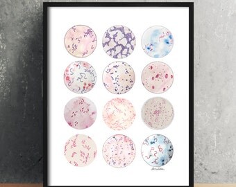 Microbe Collection, Bacteria, Bacteria Art, Science, Science art, microbiology, biology art, watercolor print, science decor, science gift,