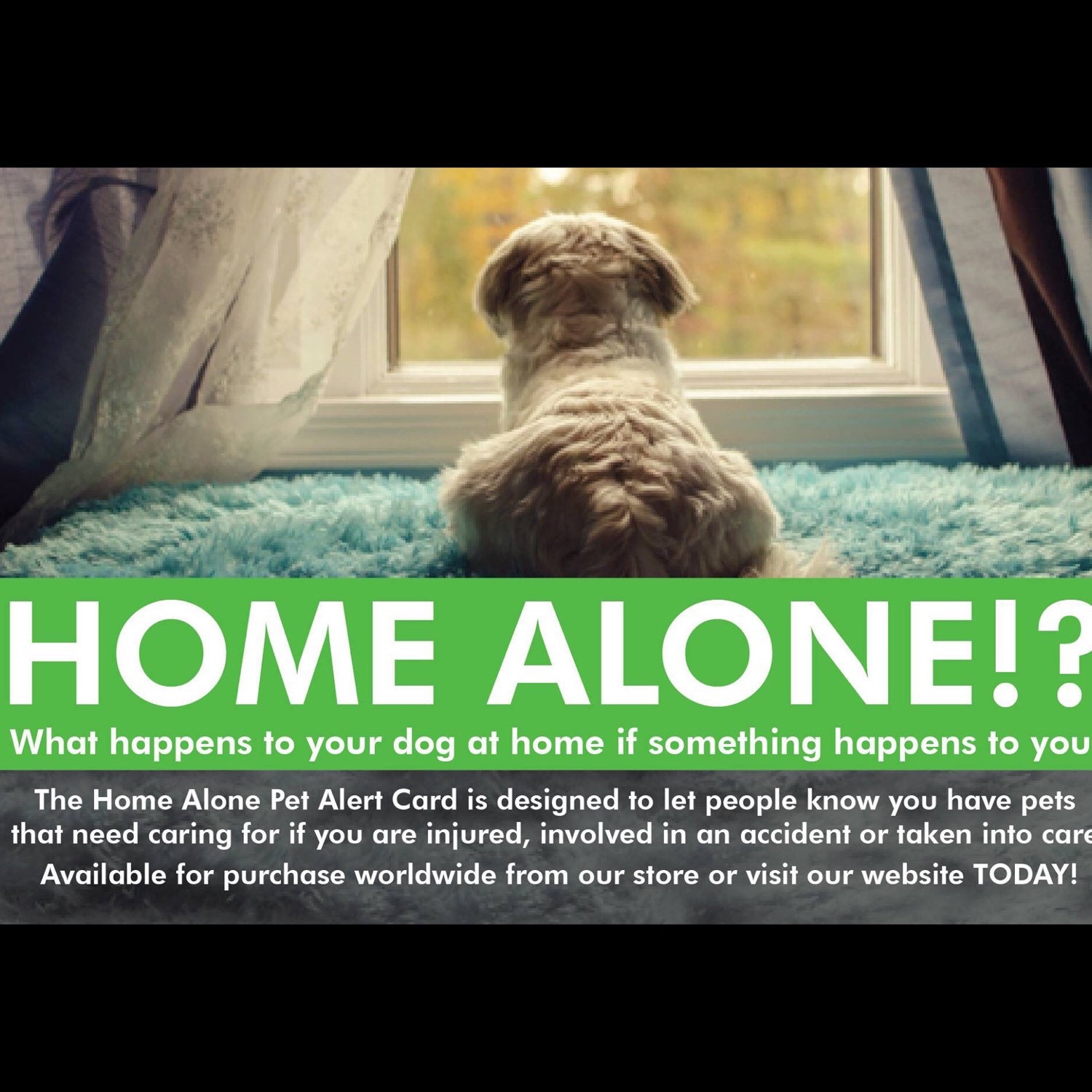 My Dog Is Home Alone Alert Emergency ID Wallet By