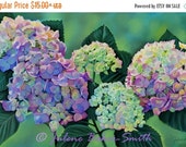 SALE Hydrangea Flower Art, Hydrangea Bouquet SALE Hydrangea Flower Art, Hydrangea Bouquet