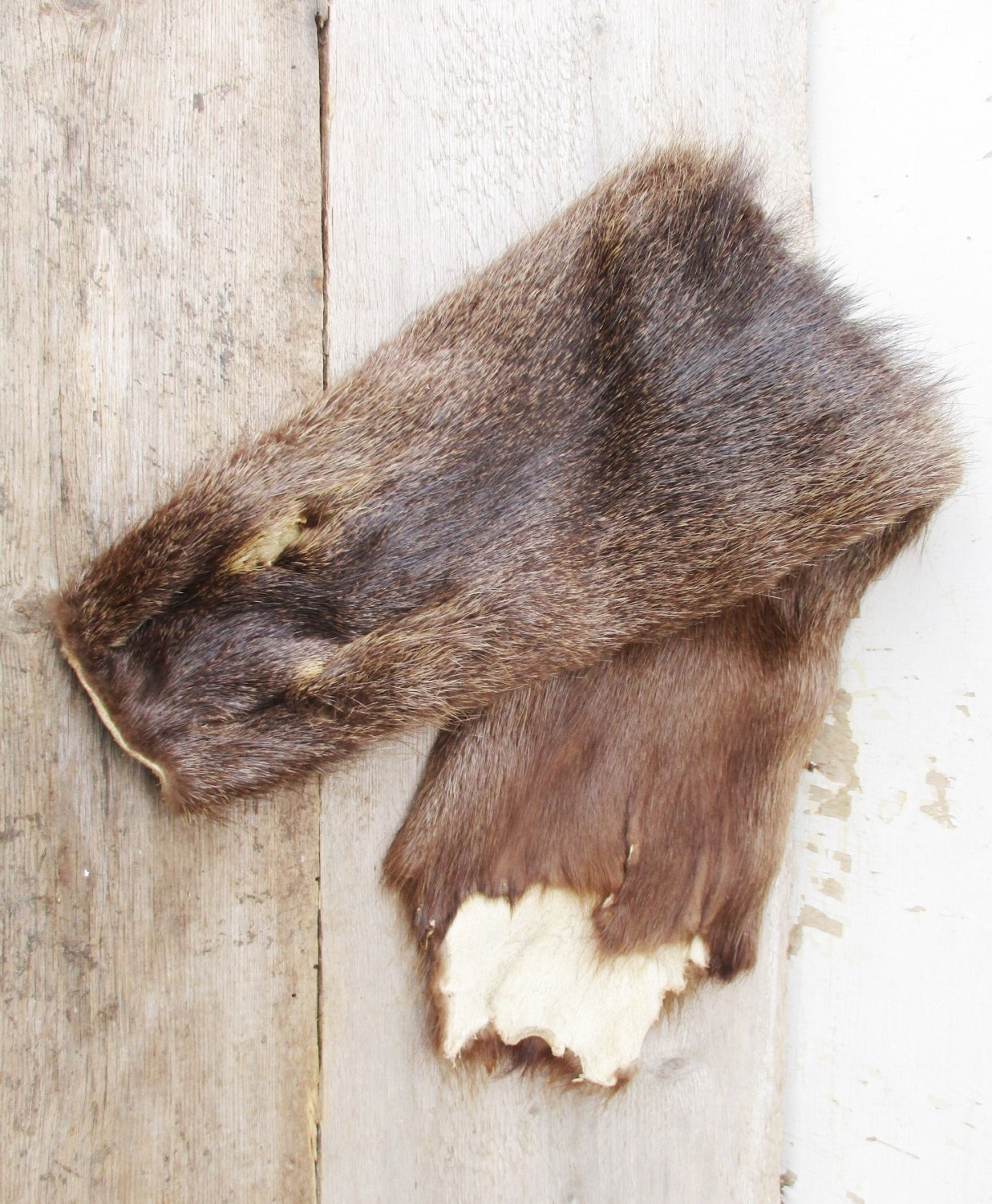 Vintage Fur Pelt Full Body Otter Two Sided Fur Skin Genuine