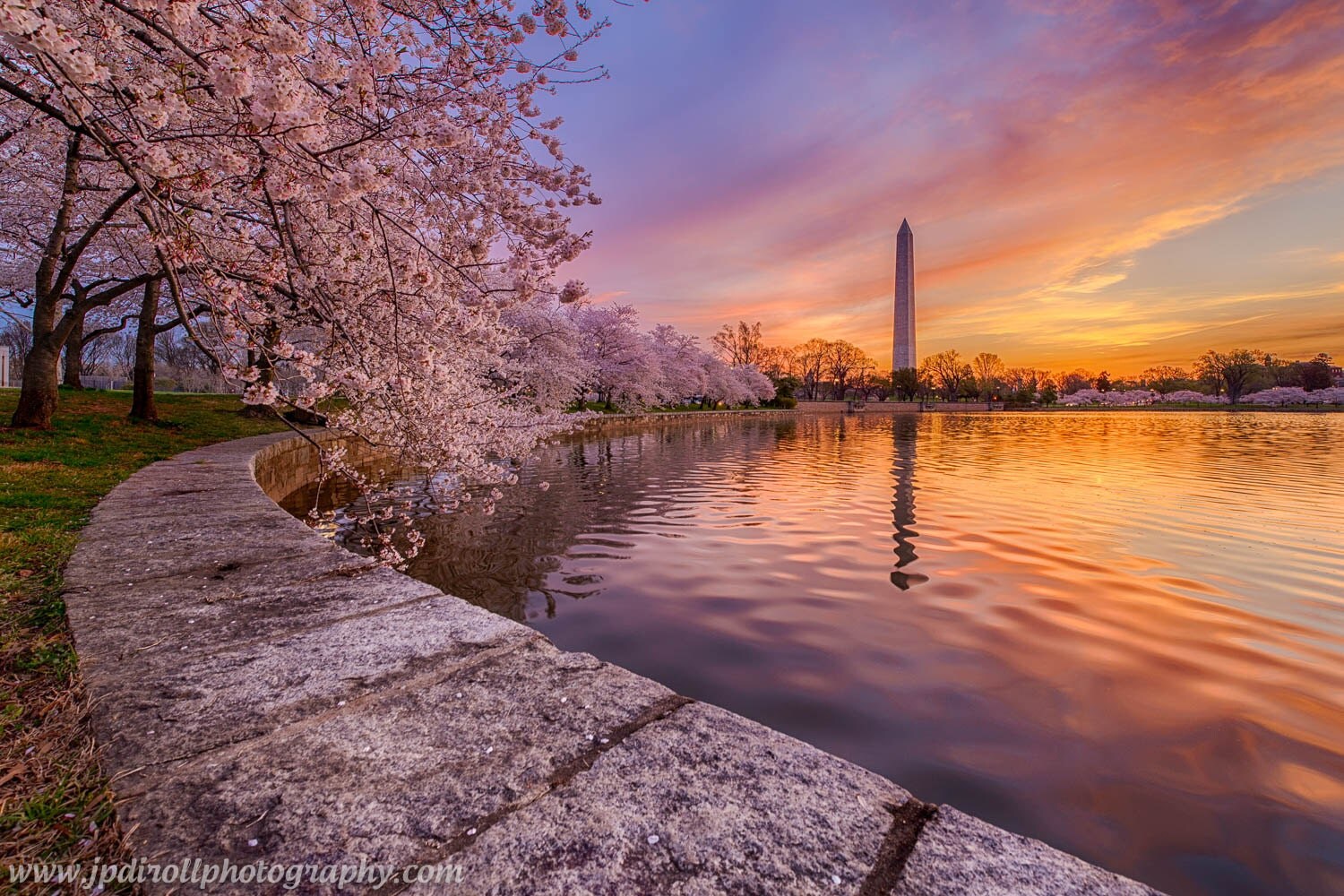 Pretty in Pink Washington DC Monument Cherry Blossom Festival