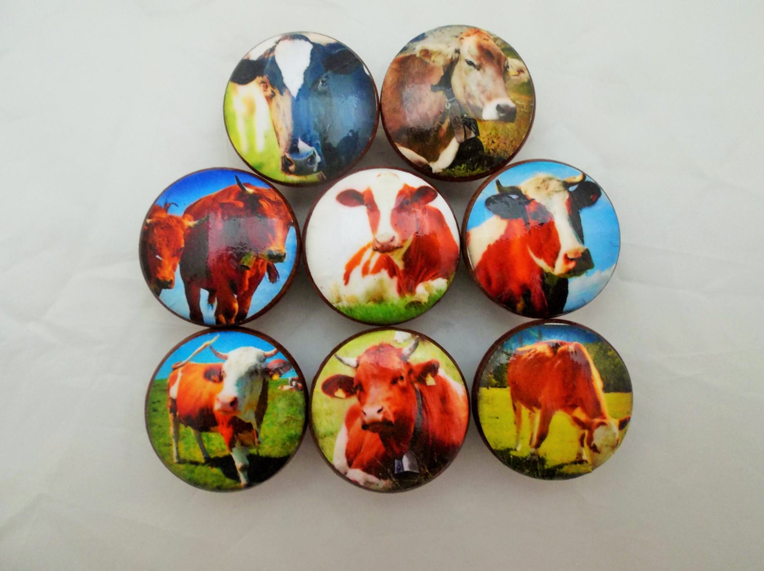 Set of 8 Cow Knobs