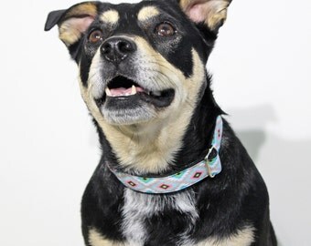 The Chili Wrap Dog Collar / Aztec Print Dog Collar / Handmade Dog Collar